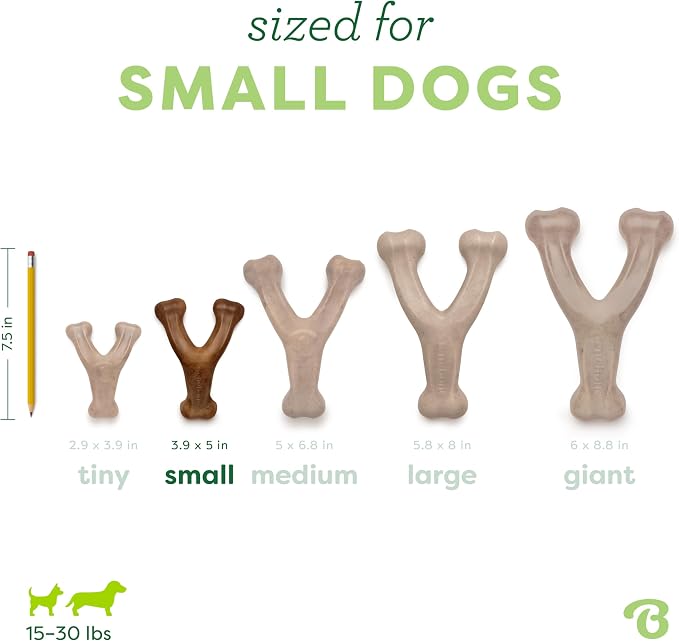 Benebone Wishbone Durable Dog Chew Toy - Image 4