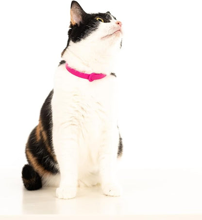 Breakaway Cat Collar - Image 7