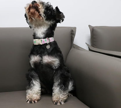 DOGWONG Cotton Dog Collar - Image 4