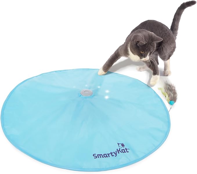 SmartyKat Electronic Motion/Moving Toys by SmartyKat