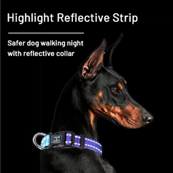 Roses&Poetry Reflective Dog Collar - Image 5