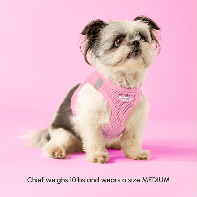 Downtown Pet Supply Step in Dog Harness - Image 2