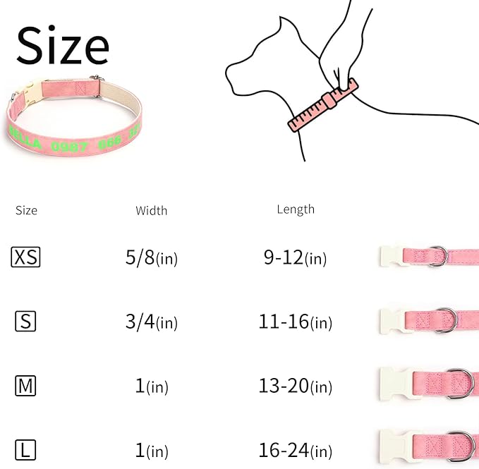 DOG WORLD Custom Fluorescent Dog Collar - Image 9