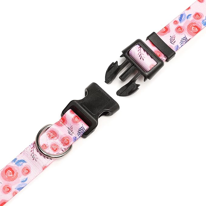 Mercano Adjustable Dog Collar - Image 5