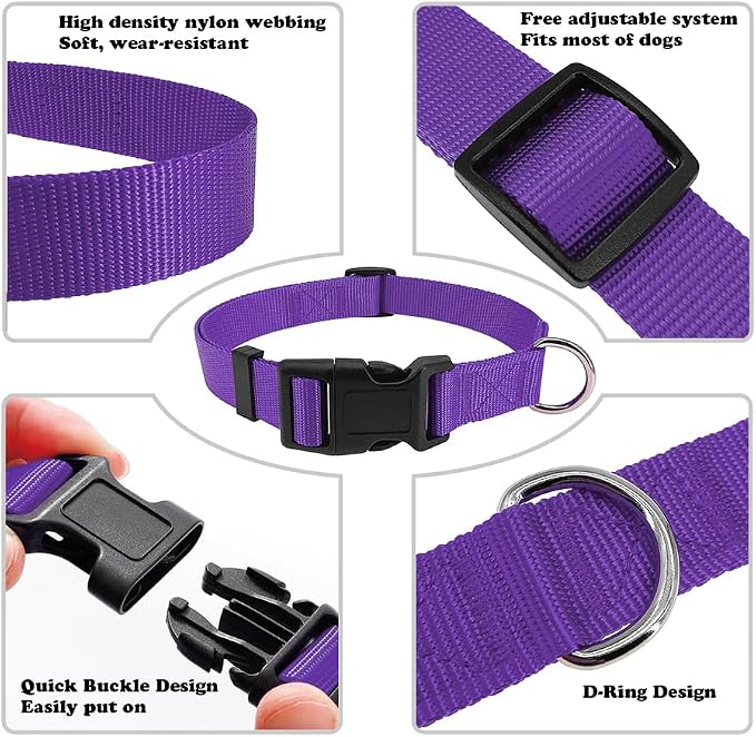 Purple Dog Collar Basic Adjustable Dog Collars - Image 3
