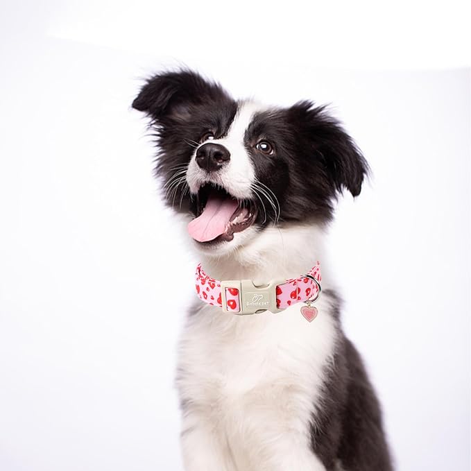 Valentines Dog Collar, Cute Pink Dog Collar - Image 5