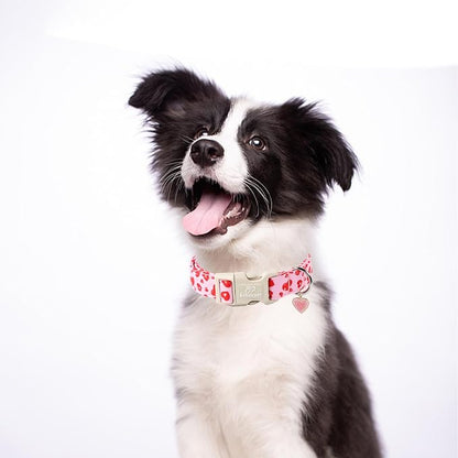 Valentines Dog Collar, Cute Pink Dog Collar - Image 5
