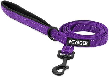 Best Pet Supplies Voyager Reflective Dog Leash or Collar by BestPetSuppliesLLC