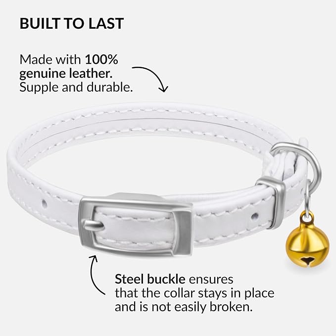 CollarDirect Leather Cat Collar - Image 3