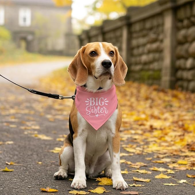 Big Sister Dog Bandana, Pet Triangle Scarf - Image 5