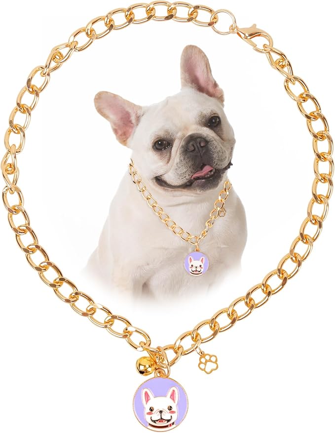 HOWWFALY Dog Collar and Cat Chain Necklace Stainless Steel Adjustable 18K Gold by HOWWFALY