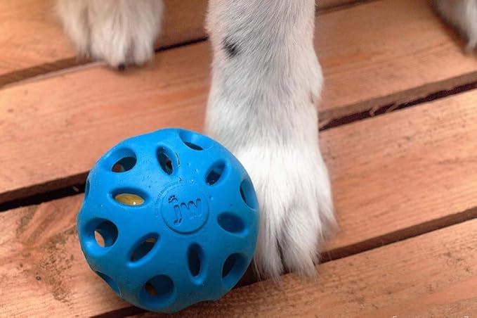 JW Pet Crackle Heads Crackle Ball Crunchy Noise Chew Fetch Toy - Image 4