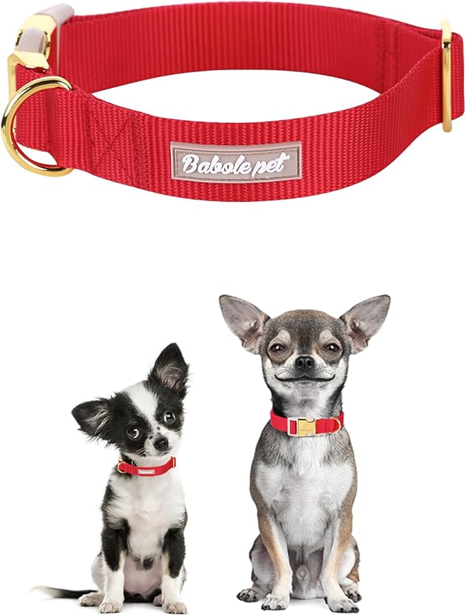 Nylon Dog Collar - Image 2
