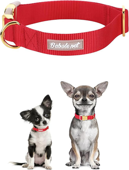Nylon Dog Collar - Image 2