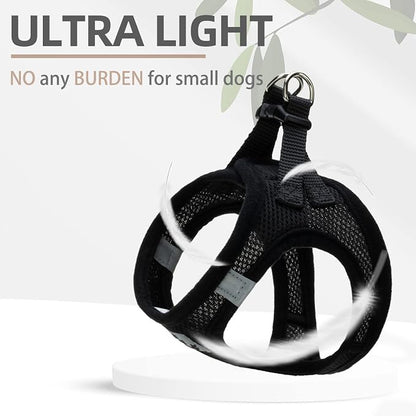 PUPTECK Adjustable Dog Harness Collar and Leash Set Step in No Pull Pet Harness - Image 6