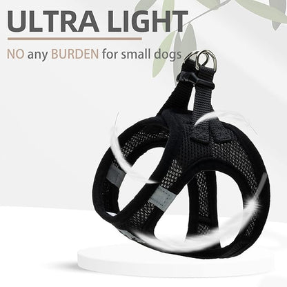 PUPTECK Adjustable Dog Harness Collar and Leash Set Step in No Pull Pet Harness - Image 6