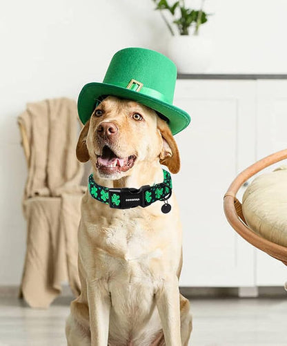 DOGWONG Black St. Patrick's Day Dog Collar - Image 4