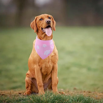 30 Pack Paw Print Bandanas Bulk - Image 7