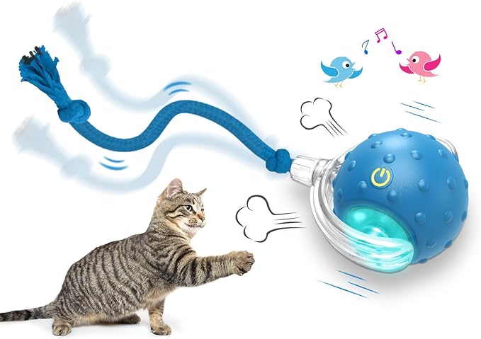 Interactive Cat Toys Ball for Indoor Cats Fast Rolling on Carpet, Chirping & by Giociv