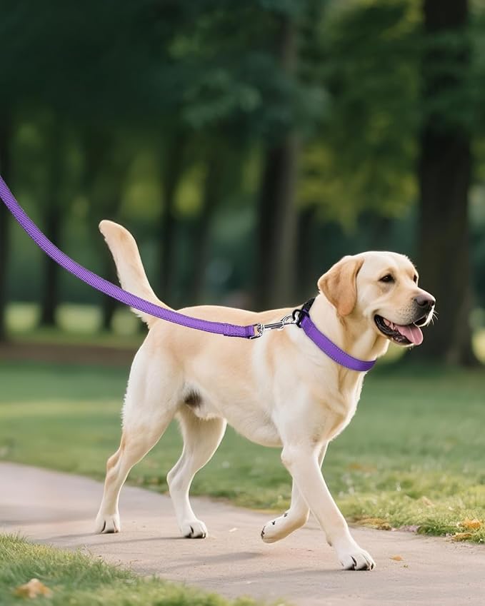 Joytale Reflective Dog Collar, Adjustable Nylon Pet Collar - Image 6