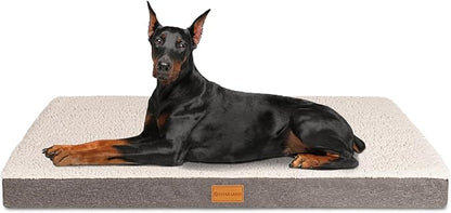 Patas Lague Orthopedic Jumbo Dog Bed by PatasLague