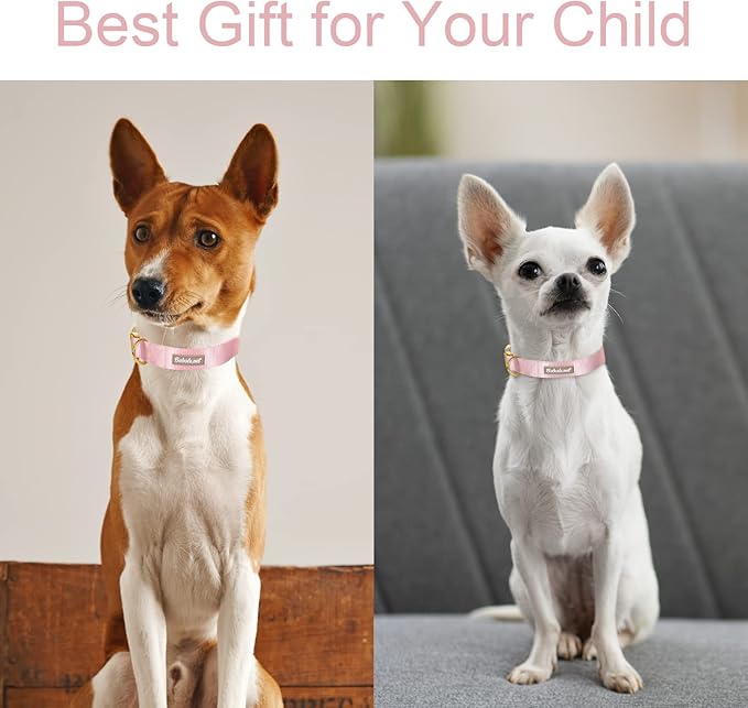 Nylon Dog Collar - Image 3