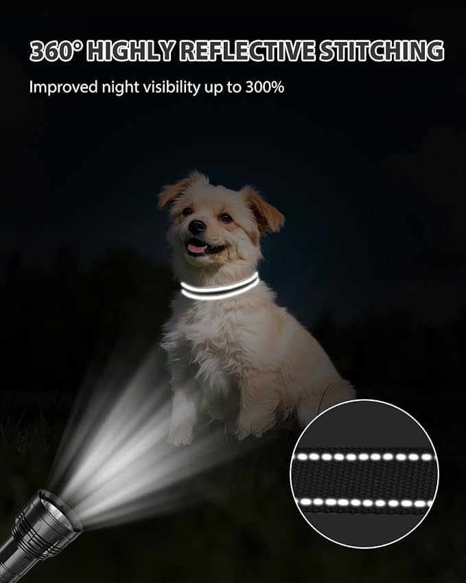 Joytale Small Dog Collar, Reflective and Adjustable Nylon Collar - Image 5