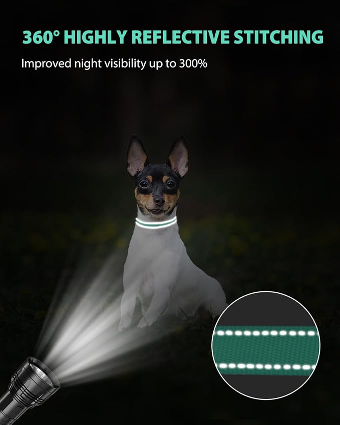 Joytale Small Dog Collar, Reflective and Adjustable Nylon Collar - Image 5