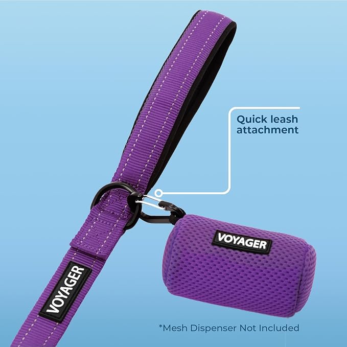 Best Pet Supplies Voyager Reflective Dog Leash or Collar - Image 3