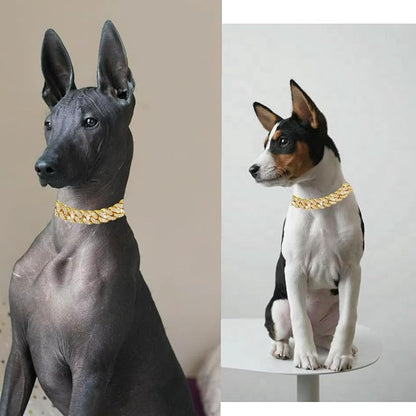 Dog Chain Designer Gold Crystal Pet Collar Cuban Link Chain - Image 4