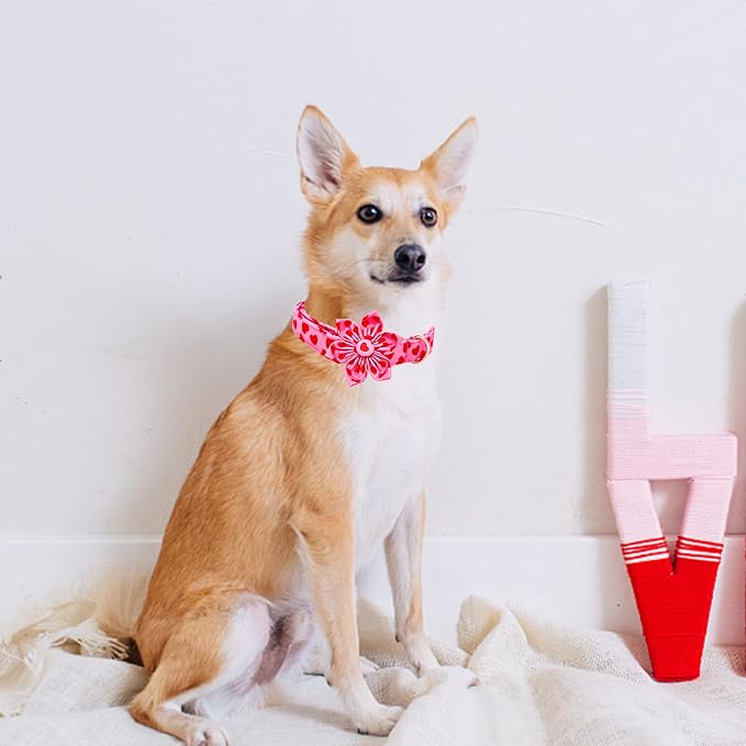 Lionheart glory Valentine's Day Dog Collar - Image 4