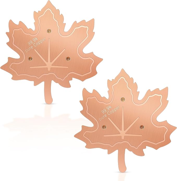 99.99% Pure Copper Bird Bath Disk, 2 Pack 0.6mm Maple Leaf Bird Bath by RGJSTRORE