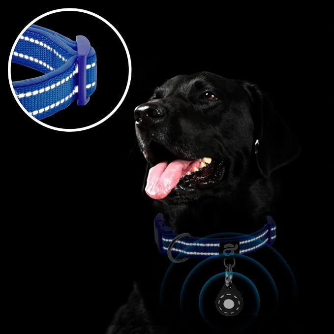 azuza Reflective Dog Collar - Image 5