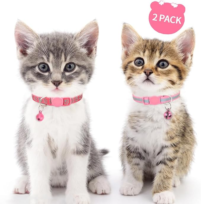 Taglory Kitten Collar Breakaway - Image 2