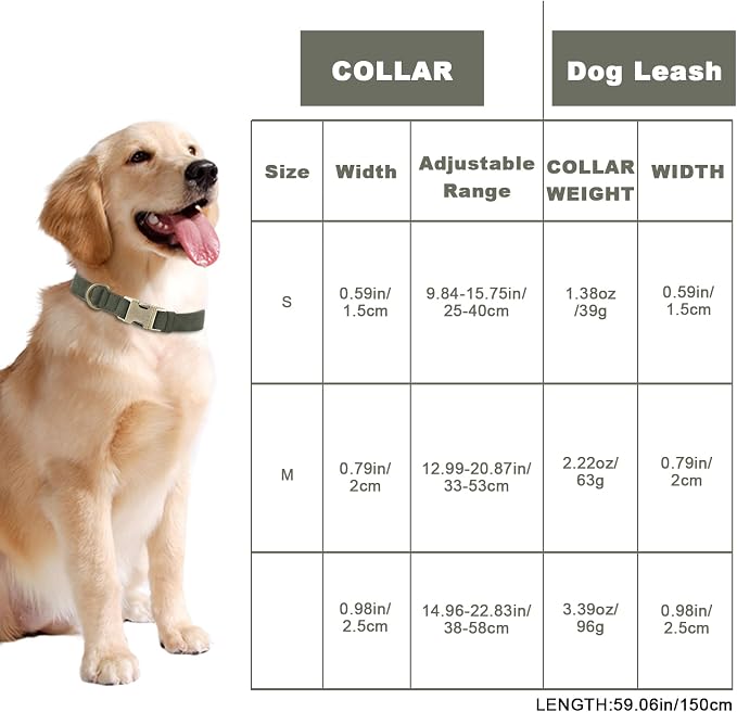 Genuine Leather Dog Collar - Image 4