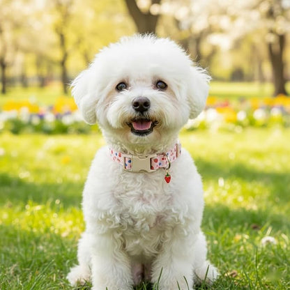 Pink Dog Collar, Female Dog Collar - Image 7