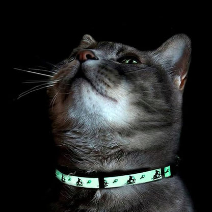 Pawtitas Glow in The Dark Cat Collar - Image 7