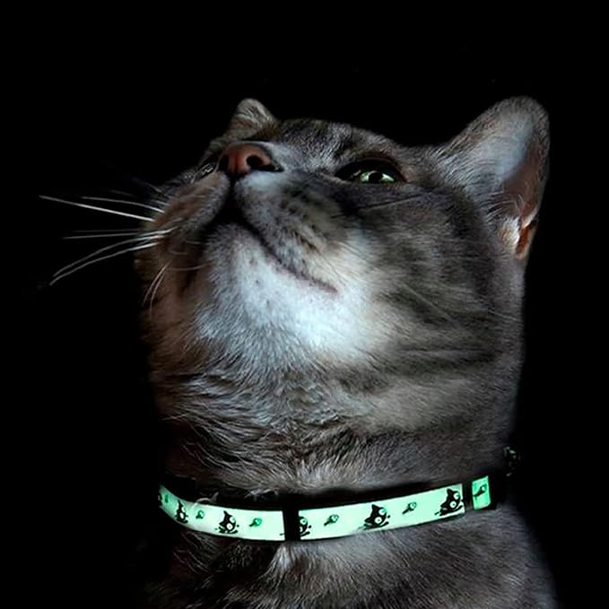 Pawtitas Halloween Cat Collars for Cats Adjustable Collar Glow in The Dark - Image 7