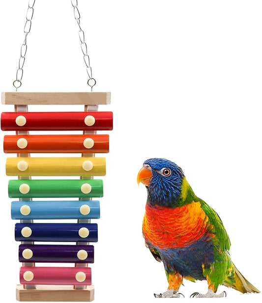 Dnoifne Colorful Bird Xylophone Toy, Suspensible Funny Xylophone Toy by Dnoifne