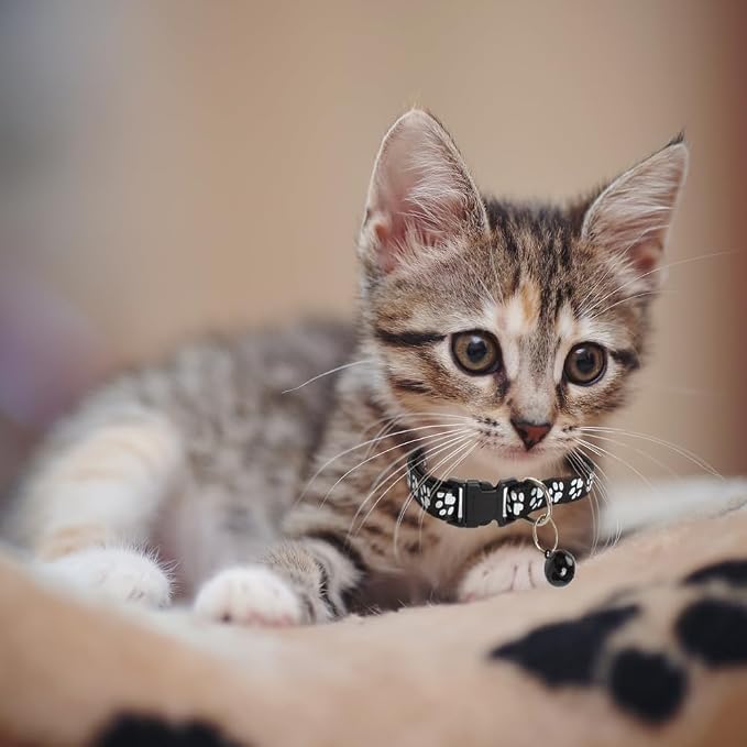 MJIYA Cat Collar with Bell, Breakaway Grid Collar with Plastic Buckle, Light - Image 7