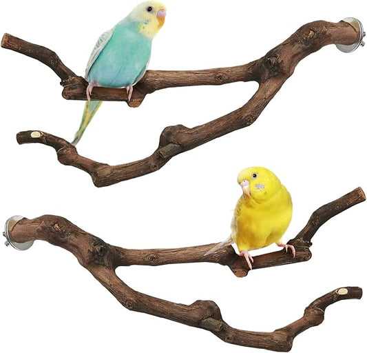 PINVNBY Natural Parrot Perch Grape Wood Bird Stand Pole Parakeet Paw Grinding by PINVNBY