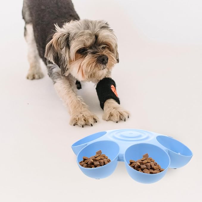 Multipurpose Pet Feeding Bowl - Image 8