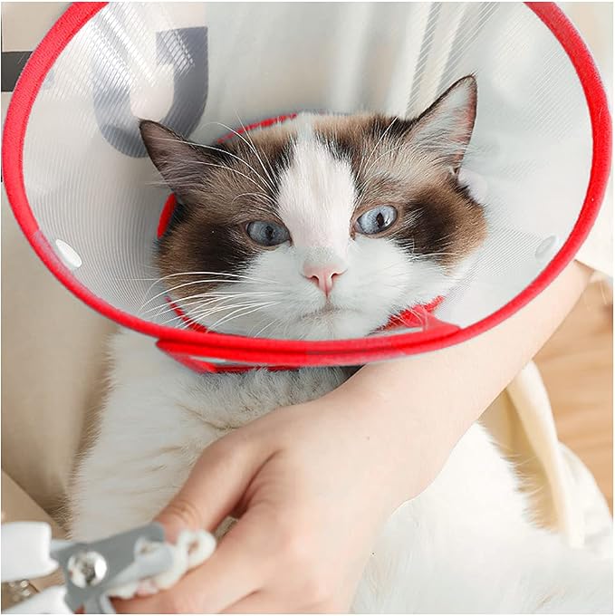 Pet Cone Recovery Dog Cone Adjustable Dog Collar Clear Padded Collar - Image 6