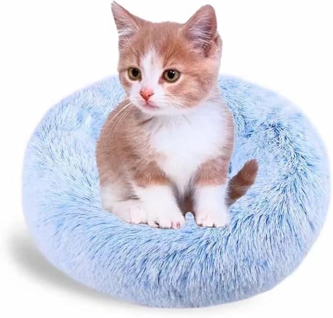 Small Cat Bed for Indoor Cats by Unknown