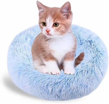 Small Cat Bed for Indoor Cats by Unknown