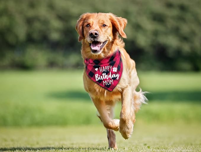 Ptzizi Funny Red Plaid Happy Birthday Mom Dog Printed Triangle Bandana - Image 3
