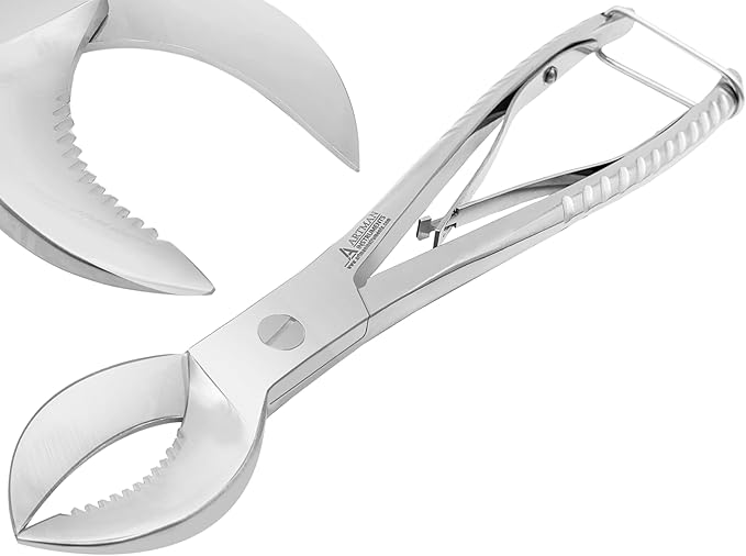 ARTMAN INSTRUMENTS Coral Cutters 7.5” Crescent Style Heavy Duty Stainless Steel by ArtmanInstruments