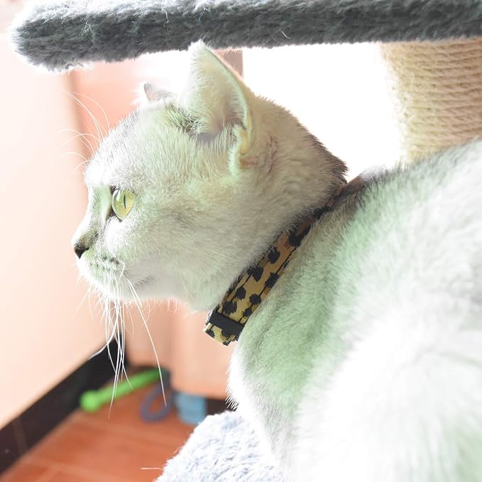 Breakaway Cat Collars with Bell, Durable & Safe Cute Kitten Collars Safety - Image 6