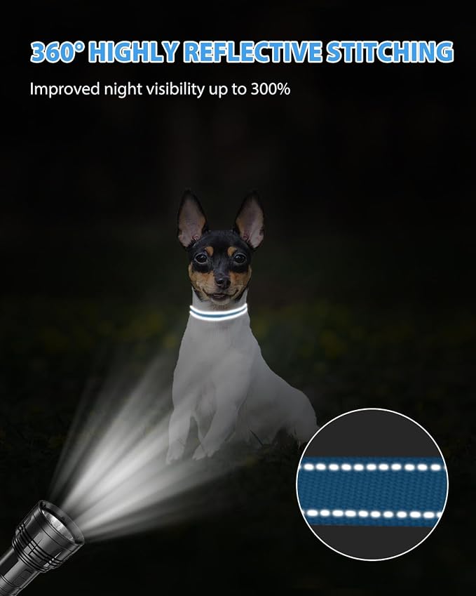 Joytale Small Dog Collar, Reflective and Adjustable Nylon Collar - Image 5