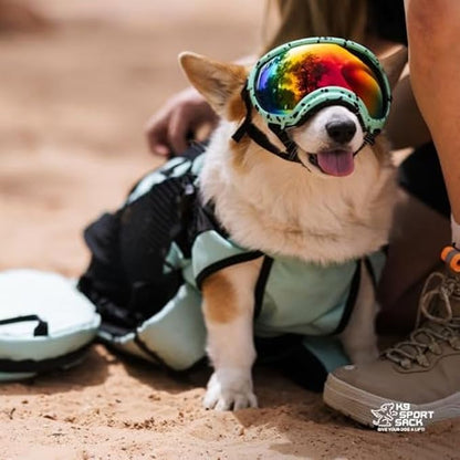 K9 Sport Sack Plus 2 - Image 6